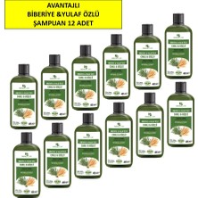 Hunca Care Biberiye & Yulaf Özlü Şampuan, Saç Dökülmesine Karşı Yardımcı 485 ml 12'li Paket