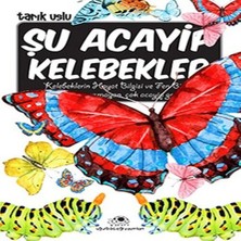 TeknoKapsül Şu Acayip Kelebekler