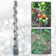 Esranın Dünyası 150 cm Metal Spiral Bitki Destek Çubuğu, 20 Adet ile Destekleyin