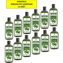 Celestique Isırganotu Şampuan, Saç Dökülmesine Karşı Yardımcı 485 ml 12'li Paket