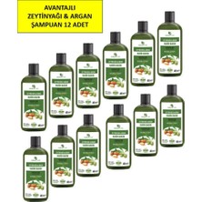 Hunca Care Zeytinyağı & Argan Özlü Şampuan, Saç Dökülmesine Karşı Yardımcı 485 ml 12 Li Paket