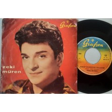 Zeki Müren  - Şarap Mahzende Yıllanır Solsab Da Sararsan Da
