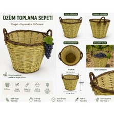 Gartol Üzüm Toplama Sepeti