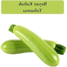 Sakız Kabak Tohumu, 10 gr Paket, Verimli Yetiştirme Için