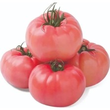 Pembe Domates Tohumu - Çoklu Seçenek - 100 Adet