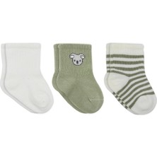 TeknoKapsül Koala Boy 3'lü Penye Soket Çorap 10133 Ekru