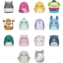 Squishmallows Squish-A-Longs 14 Figür + Yüzük Set Seri 2