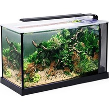 Anubias A368 Nano Akvaryum Set 52X19X30 cm