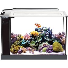Anubias Evo-V6 52 Nano Akvaryum Siyah 52 x 19 x 30 cm