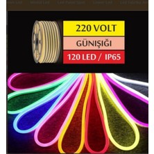 Erbay 2 Metre 220 Volt Neon LED Günışığı Tak Çalıştır Esnek Şerit Neon LED Aydınlatma 6X12 mm Hortum LED