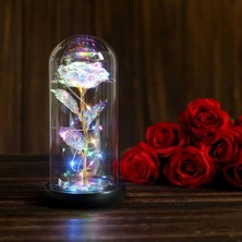 Luma Ticaret Fanus Içerisinde Dekoratif Rgb Ledli  Sonsuzluk Gülü Solmayan Gül Galaxy Rose Sonsuz Aşk Hediyesi