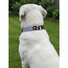 Balkonda Köpek Boyun Tasması Ayarlanabilir Küçük, Orta, Büyük ve Çok Büyük Irk Örgü Kolon & Deri
