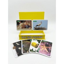 The Monarch Co Ilk 50 Hayvan Eğitici Zeka Kartları - Bebek ve Çocuk Gelişimi Için Gerçek Görselli Flashcard Seti