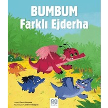Hatıra Kutusu Bumbum Farklı Ejderha