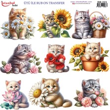 İstanbul Hobi Ütü ile Rub On Transfer Kağıdı 30X30CM RB-223