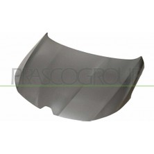 TŞT Renault Megane Motor Kaputu 2016- (Oem No:  651002195R)