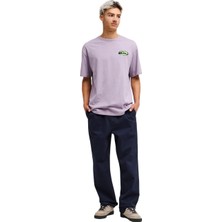 Quiksilver Taxerregultwill Erkek Mavi Pantolon