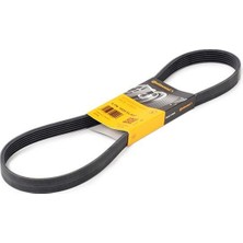 Contitech C 6pk 1033ELAST V Kayisi