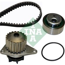 Ina 530 0012 30 Triger Seti+Devirdaim
