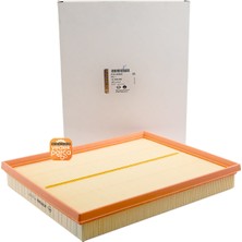 Filtron Fılt Ap 061 Hava Filtresi