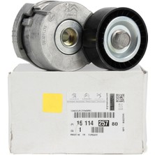 OE-PSA 1617025580 V Kayis Seti