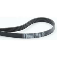 Contitech C 6pk 1680 V Kayisi