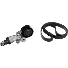 Gates Gts K016PK953XS V Kayisi