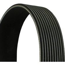 Contitech C 10PK 1447 Kanalli V Kayisi