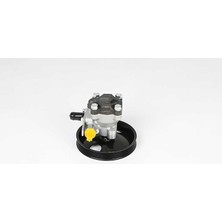 Bsg 40-355-007 Direksiyon Pompasi
