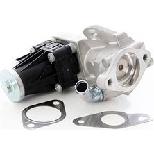 Bsg 30-836-002 Egr Valfi