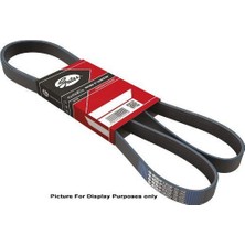 Gates Gts 5001 Triger Kayisi