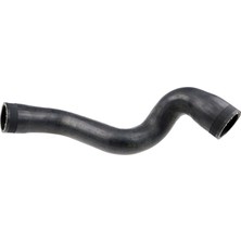 Rapro Rap R25238 Turbo Hortumu