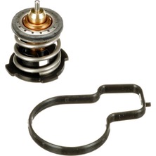 Gates Gts TH59787G1 Termostat