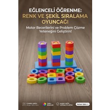 Papaya Montessori Renk ve Şekil Eşleştirme Oyunu 1+ Yaş Eğitici Oyuncak Zeka ve Motor Gelişim Seti