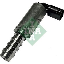 Ina 427 0055 10 Eksantrik Mil Ayar Valfi