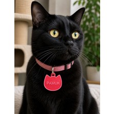 Spring Handmade Kişiye Özel Kedi ve Köpek Künyesi – Isim Ve Telefon Yazılır.