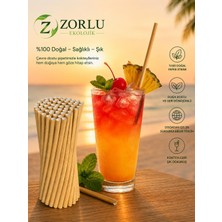 Zorlu Ekolojik Ürünler Kağıt Pipet 6x200 mm 100 Adet Party Concept