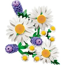 SHC4200 Botanicals Papatyalar 11508