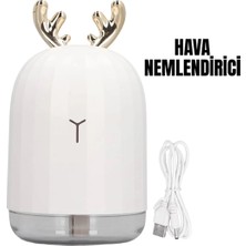 Epilons Tvsn Hava Nemlendiricisi