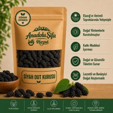 Anadolu Şifa Harput Elazığ Karadut Kurusu Doğal ve Katkısız Kara Dut Kurusu 100 gr