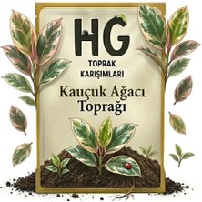 Hg Kauçuk Ağacı Toprağı