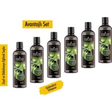 Celestique Nature Zeytinyağlı Şampuan 500 ml X6ADET