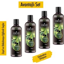 Celestique Nature Zeytinyağlı Şampuan 500 ml X4 Adet