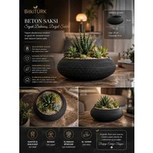 🖤✨ Bitkitürk Siyah Beton Saksı 18X8 cm – Premium Dekoratif Sukulent, Bonsai ve Iç Mekân Saksısı ✨🖤