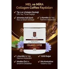 Mel and Mira Organik Hidrolize Tip 1-3 Kolajen & L-Carnitine Içerikli Hindiba Kahvesi 300G | 30 Günlük