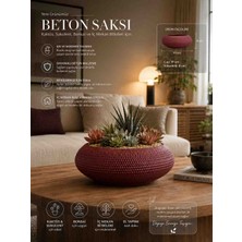 🌺✨ Bitkitürk Bordo Beton Saksılı Premium Iç Mekân Bitkisi – Dekoratif Modern Saksı ✨🌺