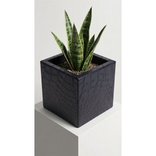 Desen Dekorasyon Metal Üstü Deri Kaplı Küp Saksı 20X20X20 cm - Ev ve Ofis Masaüstü Saksı