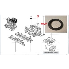 AFT Depomix Emme Manifold Boğaz Contasi Tk. 4AD. Kng 1.9 Dzl. F8Q