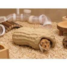 E Craft 3D Hamster Fıstık Temalı Ev