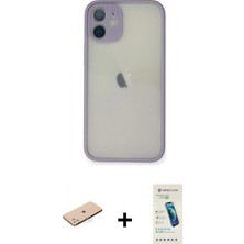 Pileli Store Pilelistore™ iPhone 11 Pro Max Kılıf Ahenk Çizgi Serisi - Şeffaf Pasifik Cam Ekran Koruyucu + Renkli Kamera Lens Koruma Cam - Mı